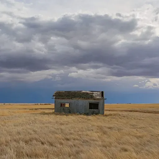 How deserted places find a second life