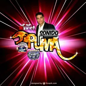 RADIO PUMA