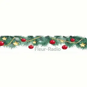 Fleur-Radio