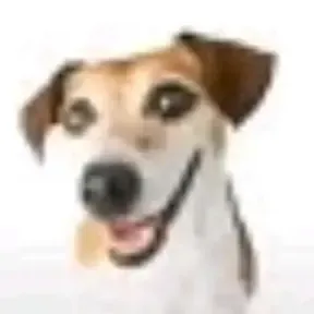 Manulina