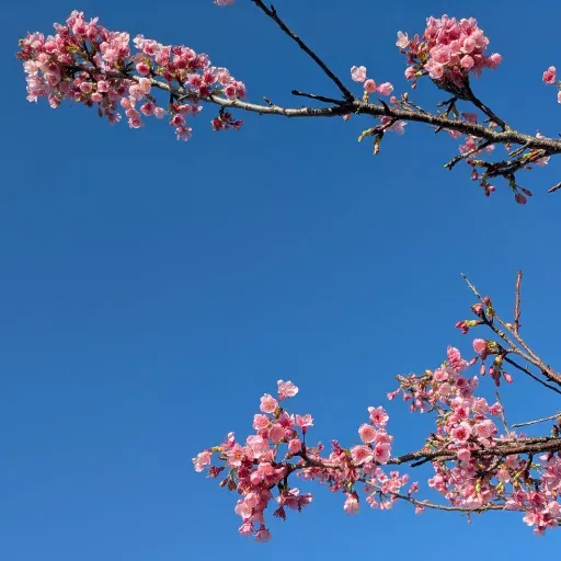 2026/02/13【３分間トーク】散策っていいね。 from Radiotalk