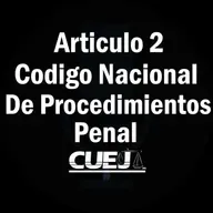 Articulo 2 Código Nacional de Procedimientos Penal
