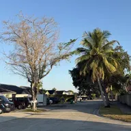 QUEMÓ EN PÚBLICO LOS EVANGELIOS (E1987)