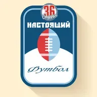 Настоящий Футбол 2018. Превью NFC NORTH