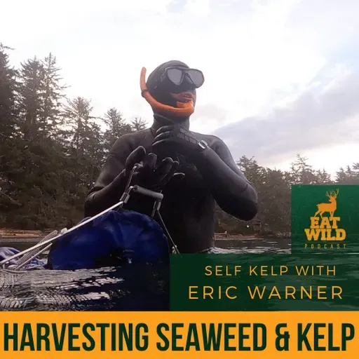 EatWild 99 - Harvesting Seaweed and Kelp with Eric Warner