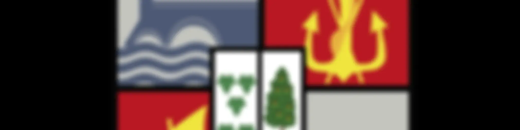 Municipalidad de Constitución