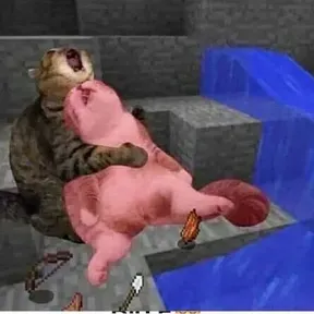 kkkkkkk