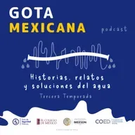 Gobernanza y diplomacia del agua