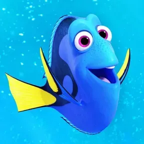 radio Dory