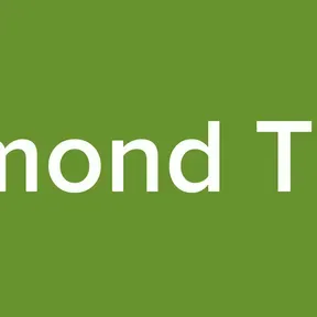 Diamond Team