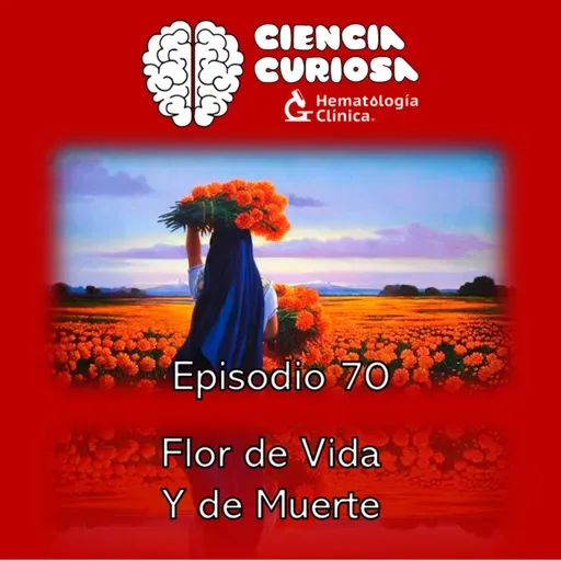 Ep. 70 - Flor de Vida y de Muerte