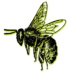Hive Lounge