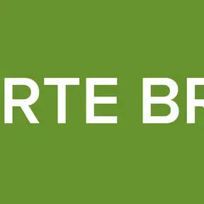 REPORTE BRION7