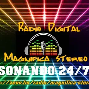Magnifica stereo