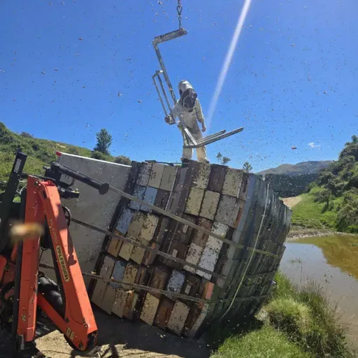 February 2026 – A honey season gone sideways, + much more...