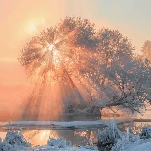 December Solstice meditation - suitable northern and southern hemispheres