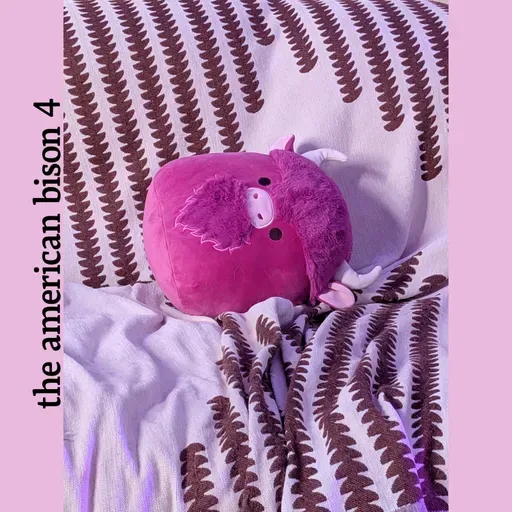 [INTERMISSION XXXIX] The American Bison 4