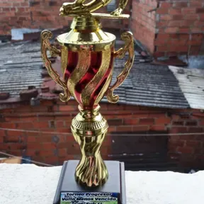 La mejor