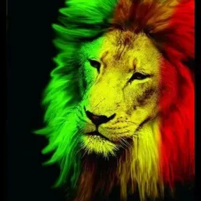 root_londono507