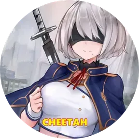 Radiocheetah