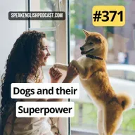 #371 Dogs and their superpower