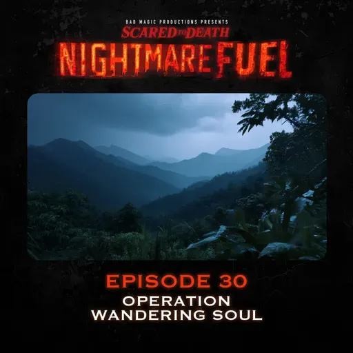 Nightmare Fuel #30: Operation Wandering Soul