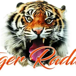 Tiger Radio