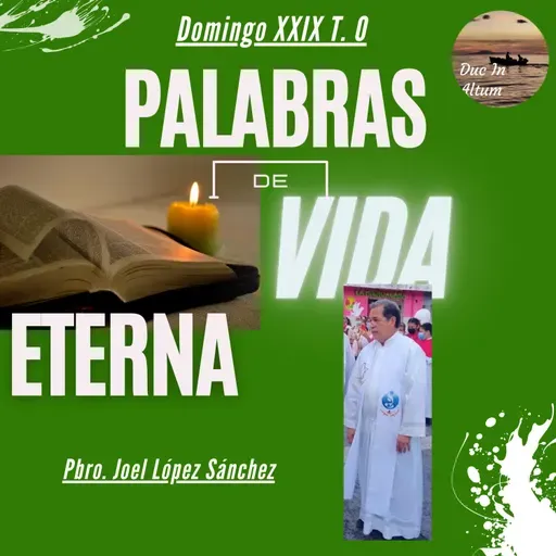 T.4 Ep. 18. Palabras de Vida Eterna. El hijo del hombre.