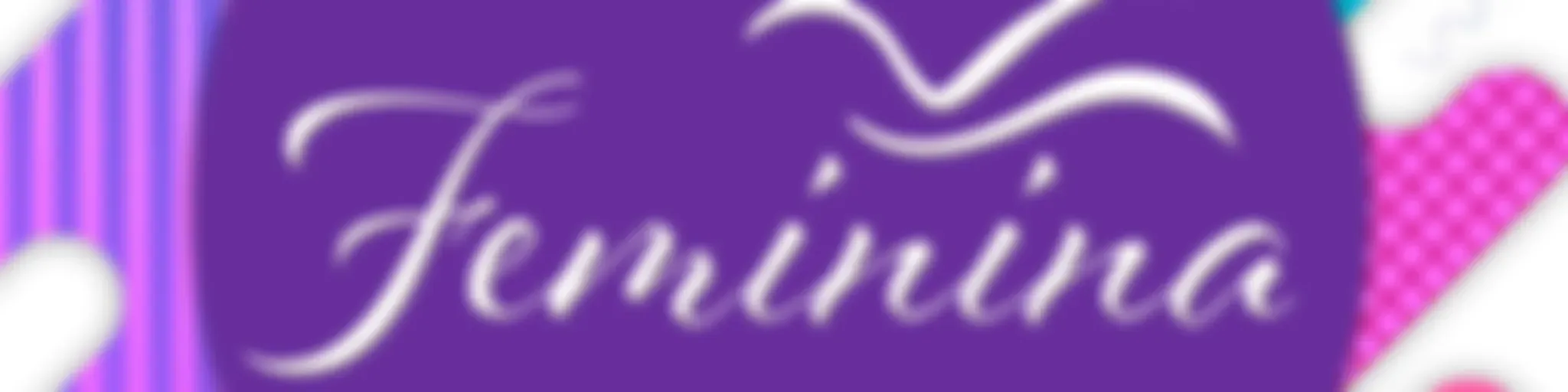 Ministério Feminina