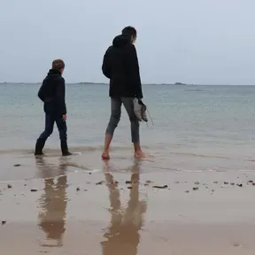 Zilveren Stream
