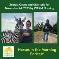 Zebras, Ozone and Gratitude for November 24, 2025 by WERM Flooring