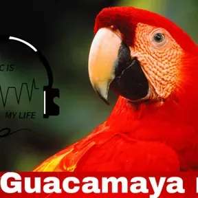 guacamaya radio