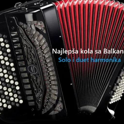 Vladan Gajić - Lađevka kolo (Dragan Aleksandrić).mp3