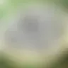 الشيخ عبدالباسط عبدالصمد