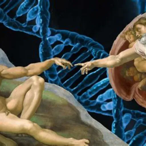 De camellos, agujas y posesiones Mt 19,23-30