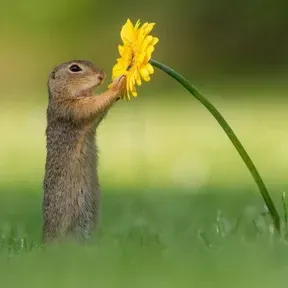 fuck on