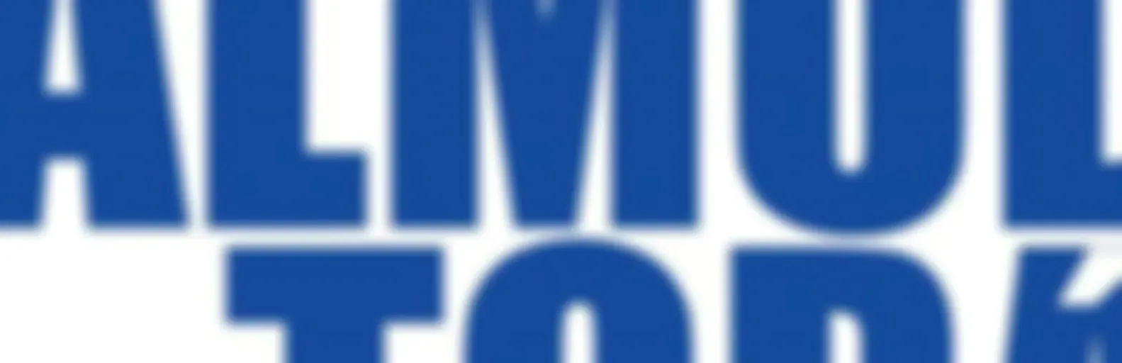 TALMUD TORA MONTE SINAI