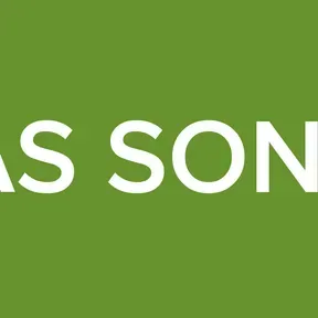 ONDAS SONORAS
