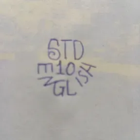 STD 10 English