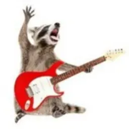 Metal Raccoon