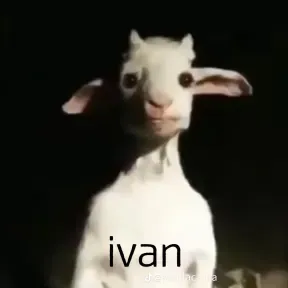 Firulais