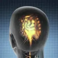 O efeito da Bíblia no Cérebro humano.