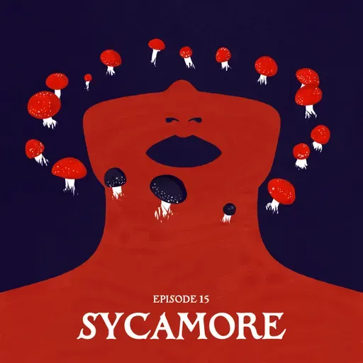 15: SYCAMORE