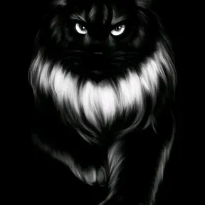 Black Radio