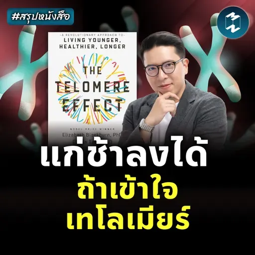 The Telomere Effect ถอดรหัสความอ่อนเยาว์ สร้างอายุยืนยาว #สรุปหนังสือ | MM EP.2467