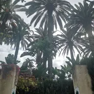 La justice dans les sociétés arabes – Rencontre avec IEDJA, à Rabat