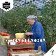 Ora et labora (NL)