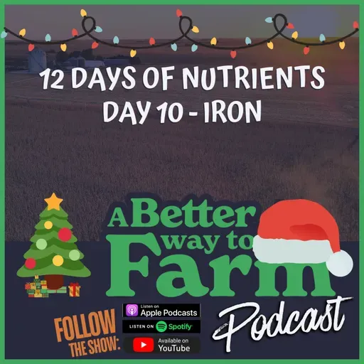 12 Days of Nutrients - Day 10: Iron