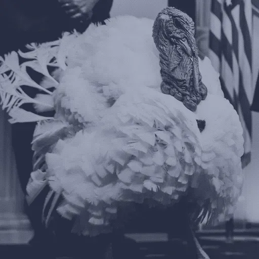 How To Avoid Talking About Politics This Thanksgiving