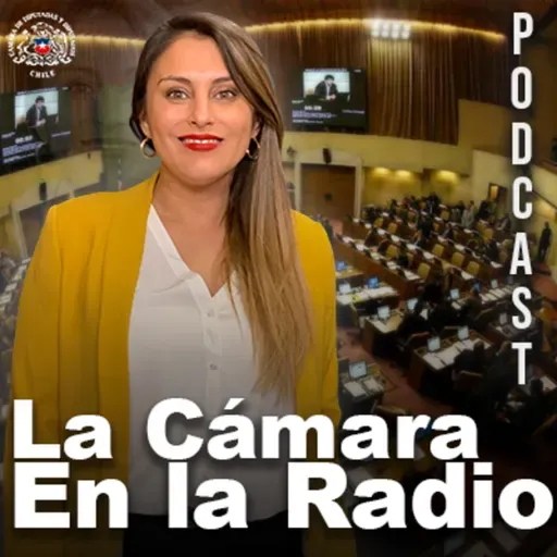 La Cámara en la Radio, El Podcast - Edición 1 - Semana del 15 de Diciembre de 2025